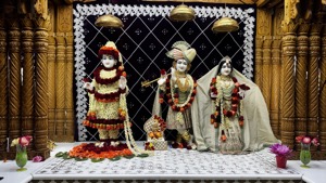 IMG_5856.jpg